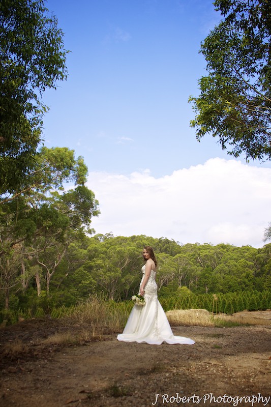 Bride in a bush setting - wedding photography sydney